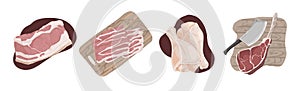 Raw uncooked meat, pork fillet, bacon slices, chicken legs, ham hough, beef gammon, delicious barbecue ingredients set