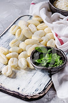 Raw uncooked potato gnocchi