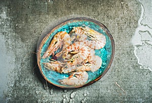 Raw uncooked tiger prawns on chipped ice, copy space