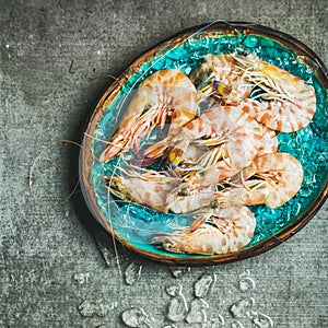 Raw uncooked tiger prawns on chipped ice, copy space