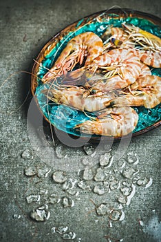 Raw uncooked tiger prawns on chipped ice in tray