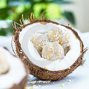 Raw Vegan Coconut and Lemon Truffles in the Coconut Shel