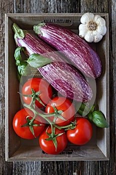 Raw vegetables: graffiti eggplants, garlic, tomatoes and basil in tray