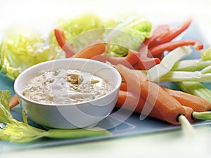 Raw vegetables served on a plate with a dip