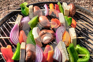 Raw Vegetables and Tofu are prepared for Kabobs and grilled on a Portable Grill