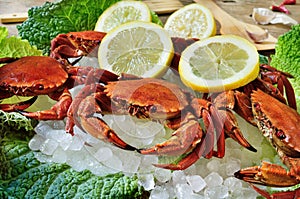 Raw velvet crabs