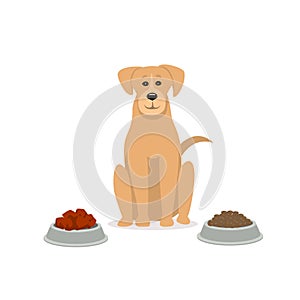 Raw vs kibble dog food graphic