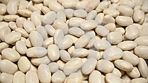 raw white beans rotating