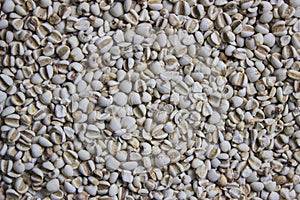 A raw white beans using for a background.