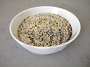 Raw white, black and red quinoa