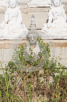 Raw of white buddha status on the wall