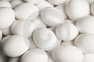 Raw white chicken eggs as background, above view