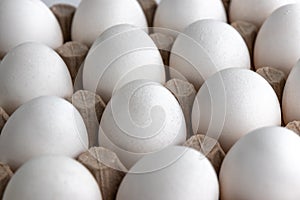 Raw white chicken eggs in carton tray pattern, Close-up, selective focus