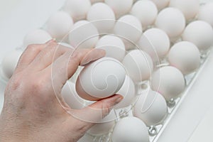 Raw white chicken eggs in tray on white background.