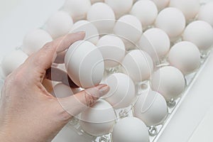 Raw white chicken eggs in tray on white background.