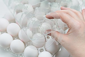 Raw white chicken eggs in tray on white background.