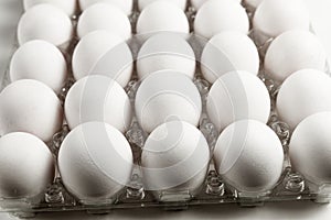 Raw white chicken eggs in tray on white background.