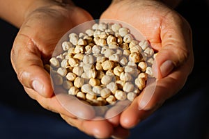 Raw white dried chickpeas Cicer arietinum in the hands forming heart shape on the black background