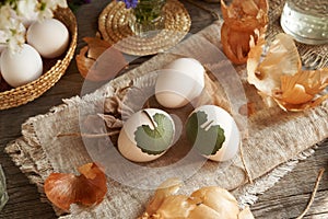 Raw white Easter eggs with herbs attached to them with old stockings - preparation for dyeing with onion peels