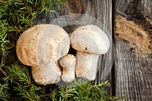 Raw white mushrooms on wooden table