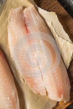 Raw White Organic Tilapia Fish