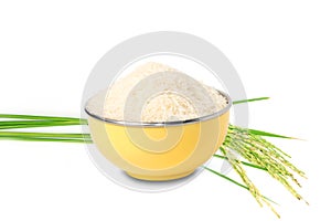 Raw white rice in yellow bowl and Fresh rice plant