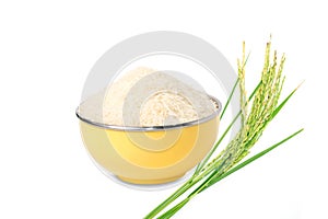 Raw white rice in yellow bowl and Fresh rice plant