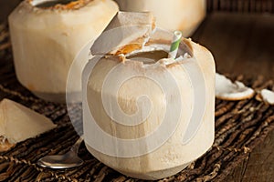 Raw White Young Coconut Drink