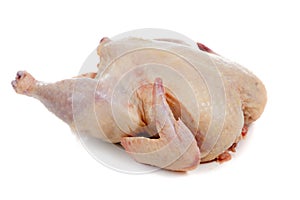 Raw, whole chicken on a white background