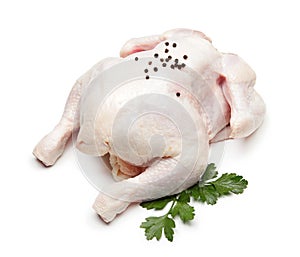 Raw whole chicken on white background