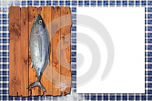 Raw whole fish, northern albacore Thunnus alalunga copy space