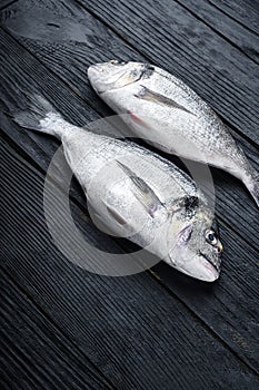 Raw whole pair  dorado or sea bream fish ob black wooden table side view