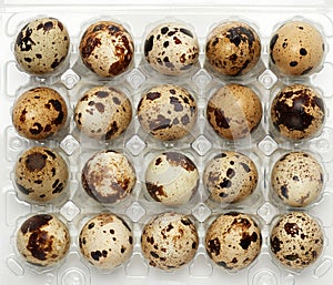 Raw whole quail eggs in a plastic tray, top view