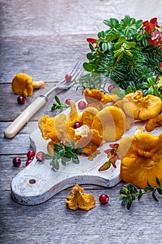 Raw wild mushrooms chanterelles on old wooden background. Vegetarian healthy product. Healthy lifestyle