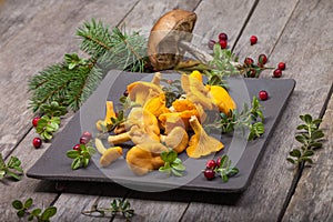 Raw wild mushrooms chanterelles on old wooden background. Vegetarian healthy product. Healthy lifestyle