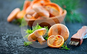 Raw wild Saffron milk cap mushrooms on dark old rustic background. Lactarius deliciosus. Rovellons, Niscalos. Organic mushrooms