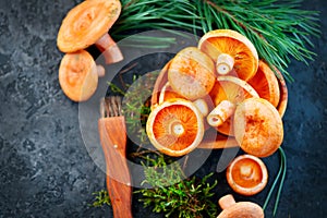 Raw wild Saffron milk cap mushrooms on dark old rustic background. Lactarius deliciosus. Rovellons, Niscalos. Organic mushrooms