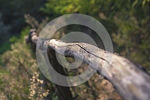 Raw wood handrail