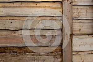 Raw wood wall background. Cozy and simple
