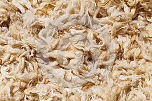 Raw wool of sheep of beautiful Caucasian mountains in the lesser Caucasus region