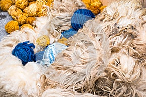 Raw wool for weave and yarn making.