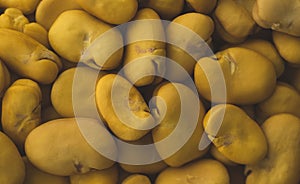 Raw Yellow Broad bean macro close up