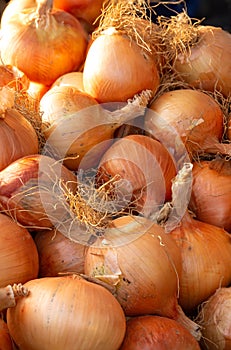 Raw yellow onions at a local outdoor market