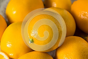 Raw Yellow Organic Meyer Lemons