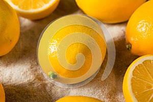 Raw Yellow Organic Meyer Lemons
