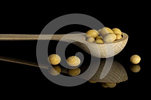 Raw yellow soya bean isolated on black glass