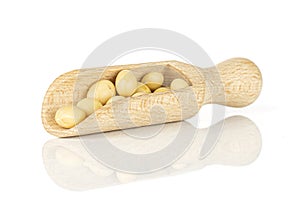 Raw yellow soya bean isolated on white