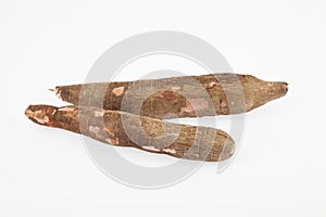 Raw yucca on white background-Manihot esculenta. Cassava raw tuber