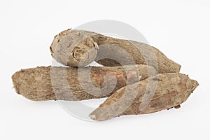 Raw yucca on white background-Manihot esculenta. Cassava raw tuber