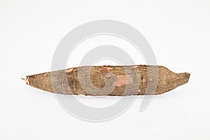 Raw yucca on white background-Manihot esculenta. Cassava raw tuber photo